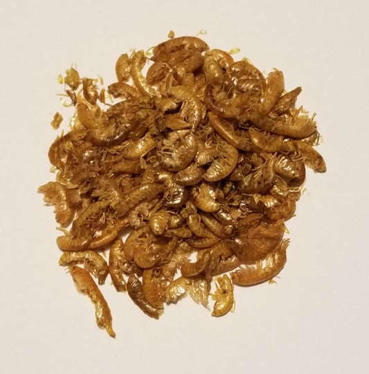Dried Freshwater Amphipods