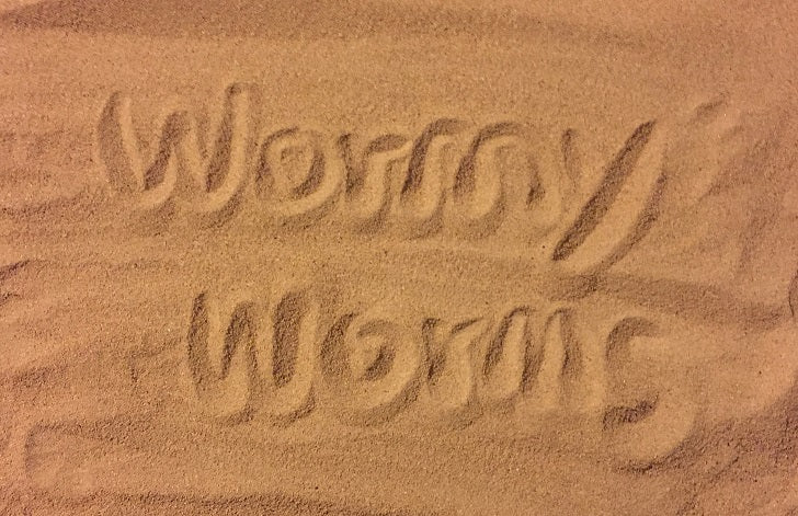 Mealworms & Superworms Frass