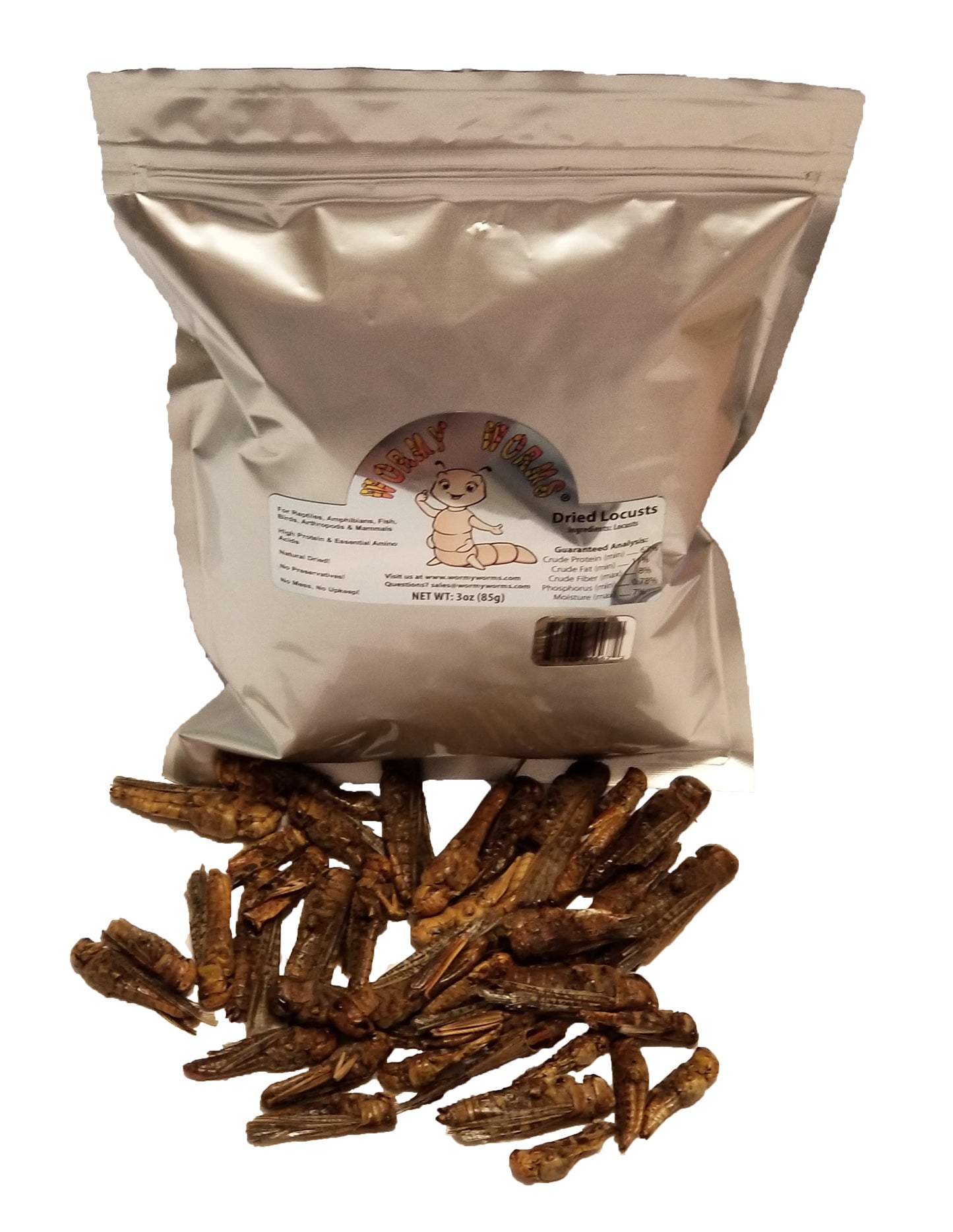 Dried Locusts