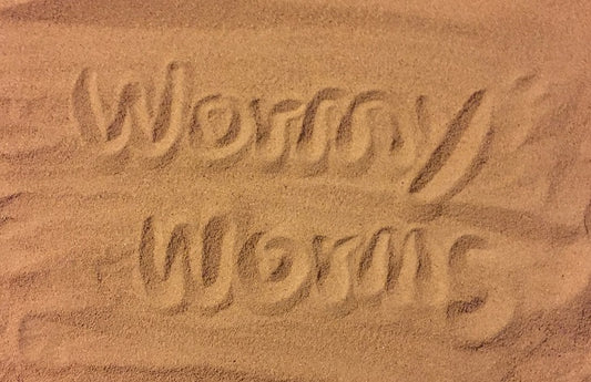 Mealworms & Superworms Frass